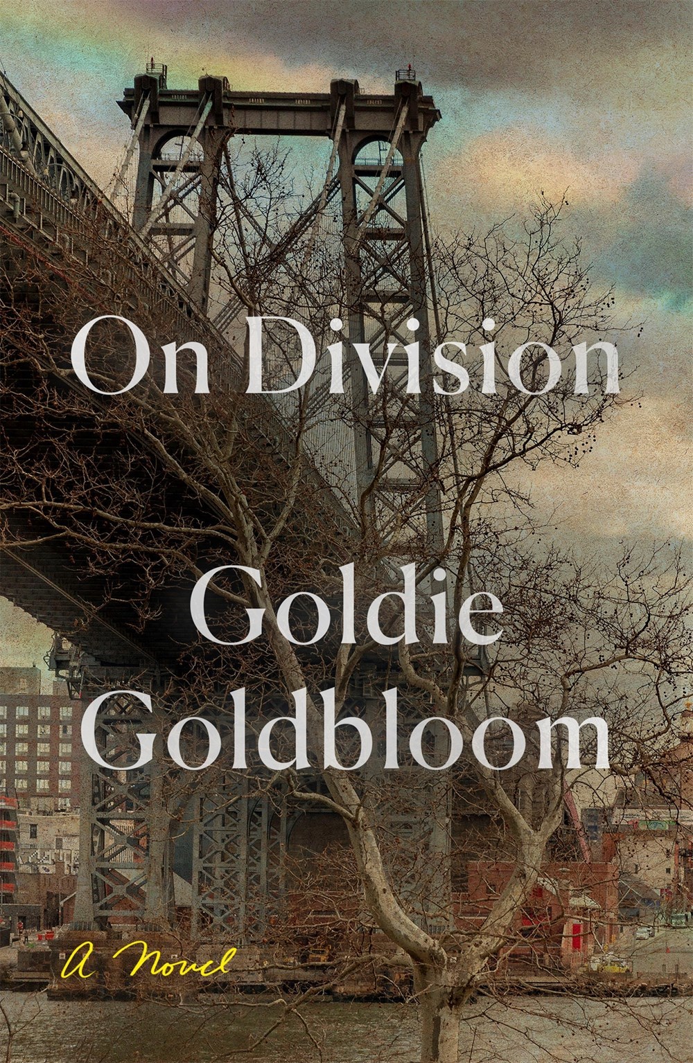 On Division book by Goldie Goldbloom