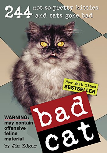Bad Cat by Jim Edgar