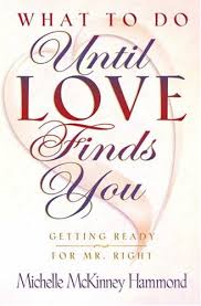 What to Do Until Love Finds You : Preparing Yourself for Your Perfect Mate book by Michelle McKinney Hammond