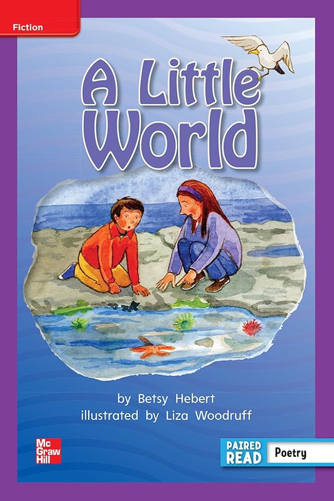A Little World (Reading Wonders Leveled Reader)