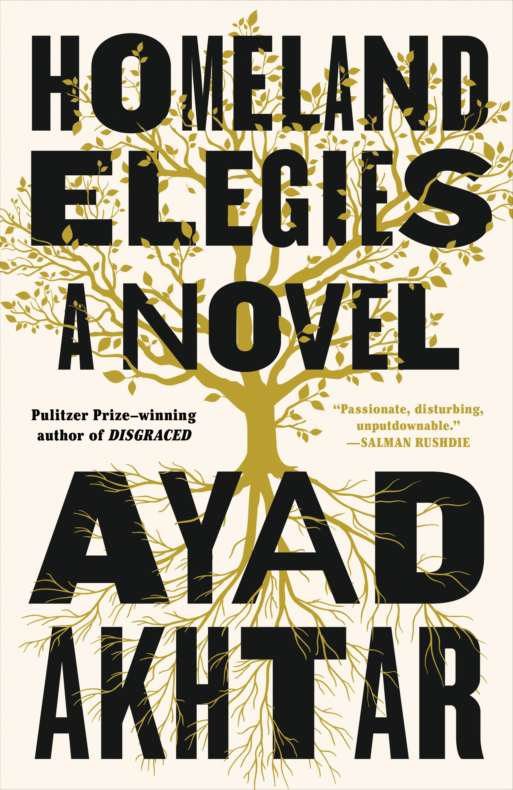 Homeland Elegies book by Ayad Akhtar