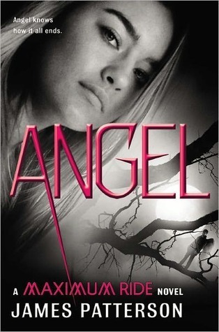 Maximum Ride #7: Angel book by James Patterson