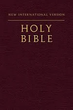 NIV Holy Bible paperback