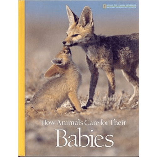 How Animals Care for Their Babies by National Geographic Kids |Attic Books  kenya