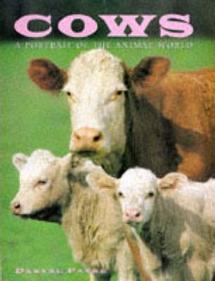 Cows (A Portrait of the Animal World)