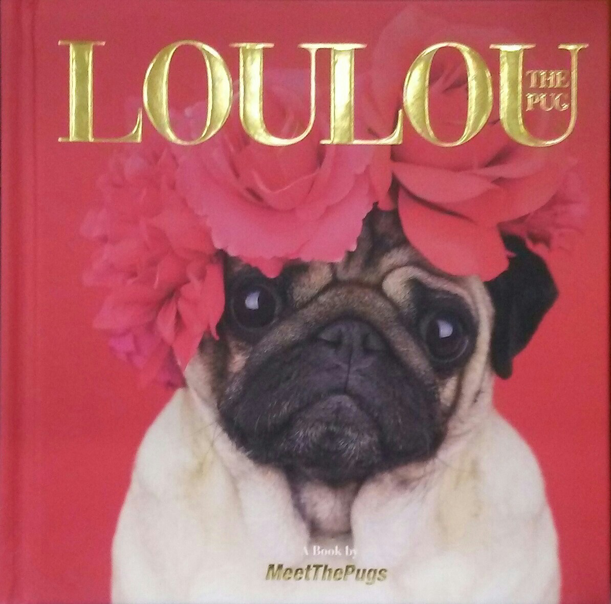 Loulou the Pug: A Book by MeetThePugs