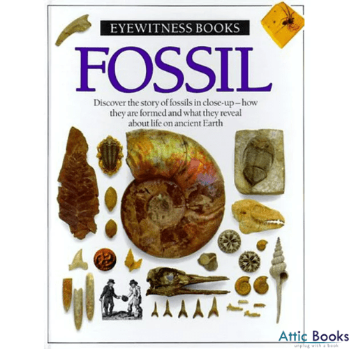 Fossil (Eyewitness Books)