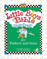 Little Boys Bible Storybook for Fathers and Sons book by Carolyn Larsen