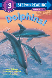 Dolphins! book by Sharon Bokoske