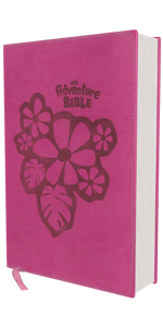 NKJV, Adventure Bible
