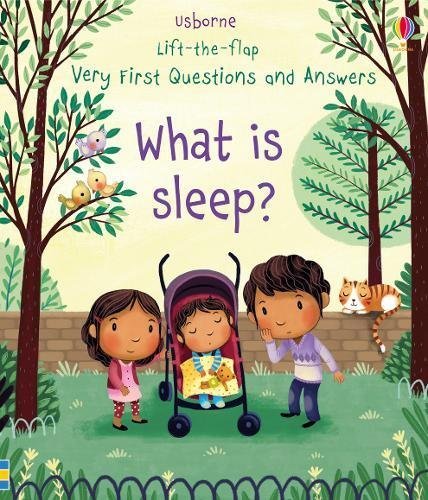 What is Sleep? Lift-the-flap Questions and Answers Very First Questions and Answers (Board Book)