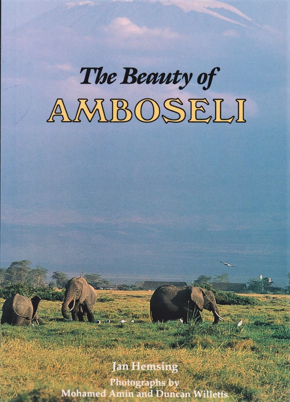 The Beauty of Amboseli