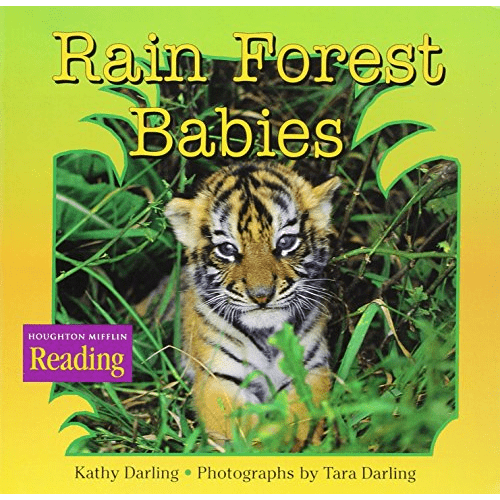 Rainforest Babies