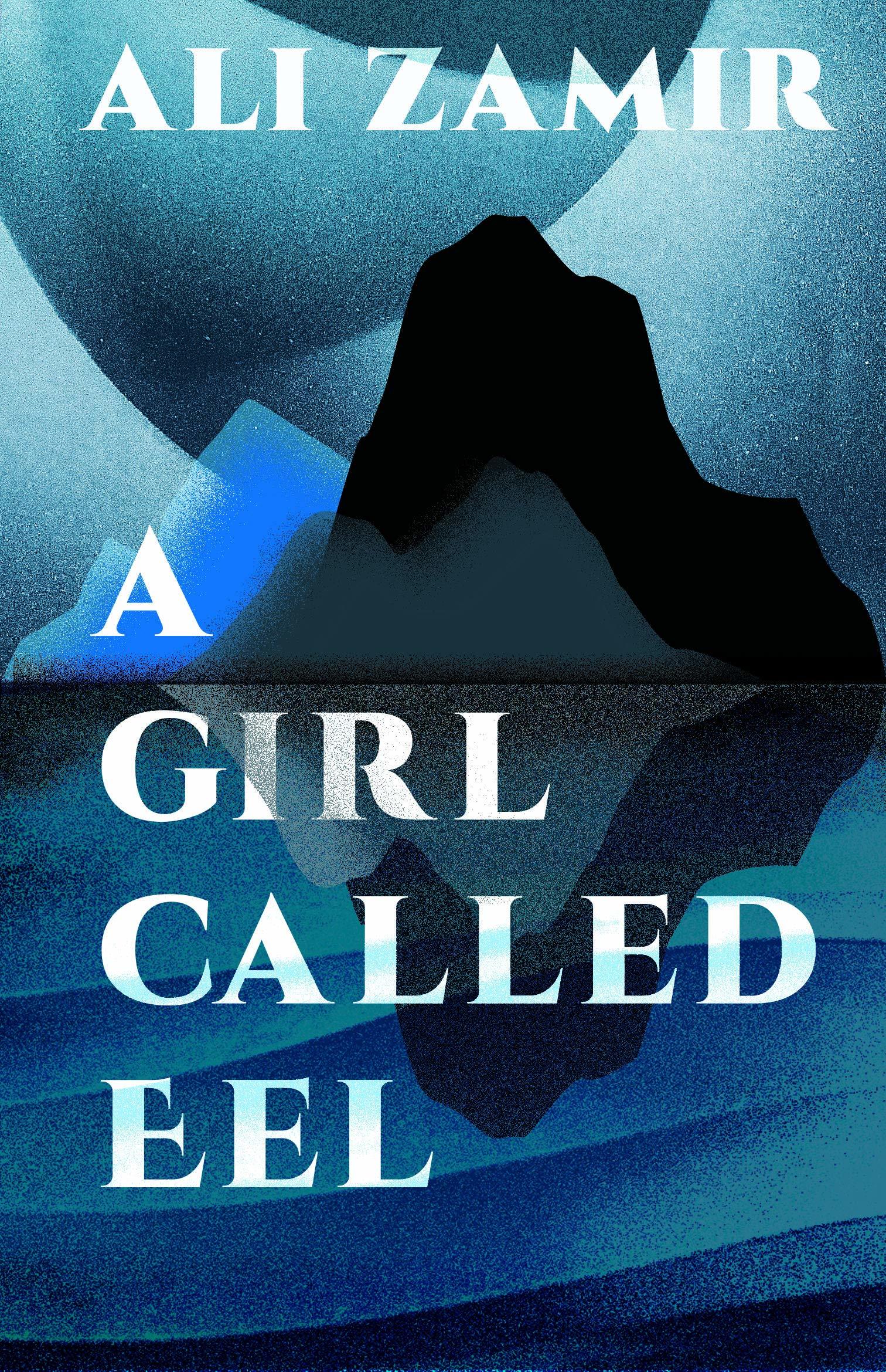 Girl Called Eel book by Ali Zamir