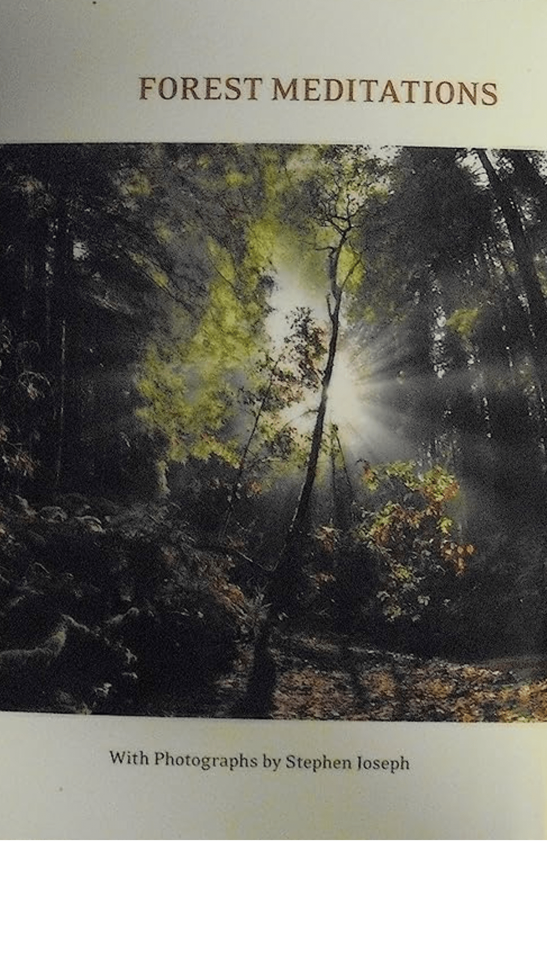 Forest Meditations by Robert Lieber