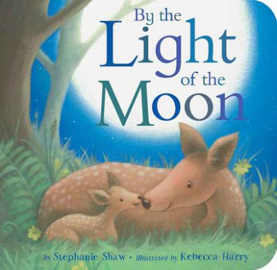 By the Light of the Moon (Board Book)