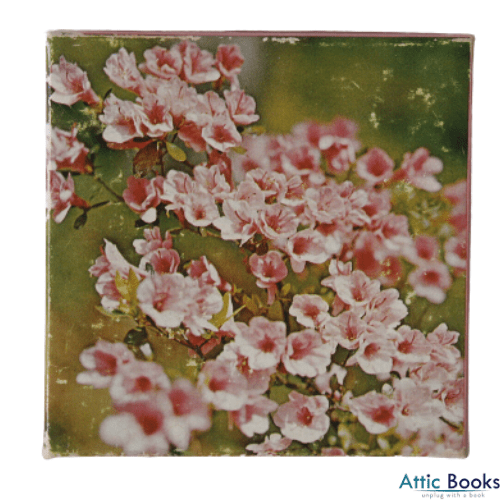 Azalea Vintage Springbok Mini Puzzle 1971 Complete 7? by 7? Square