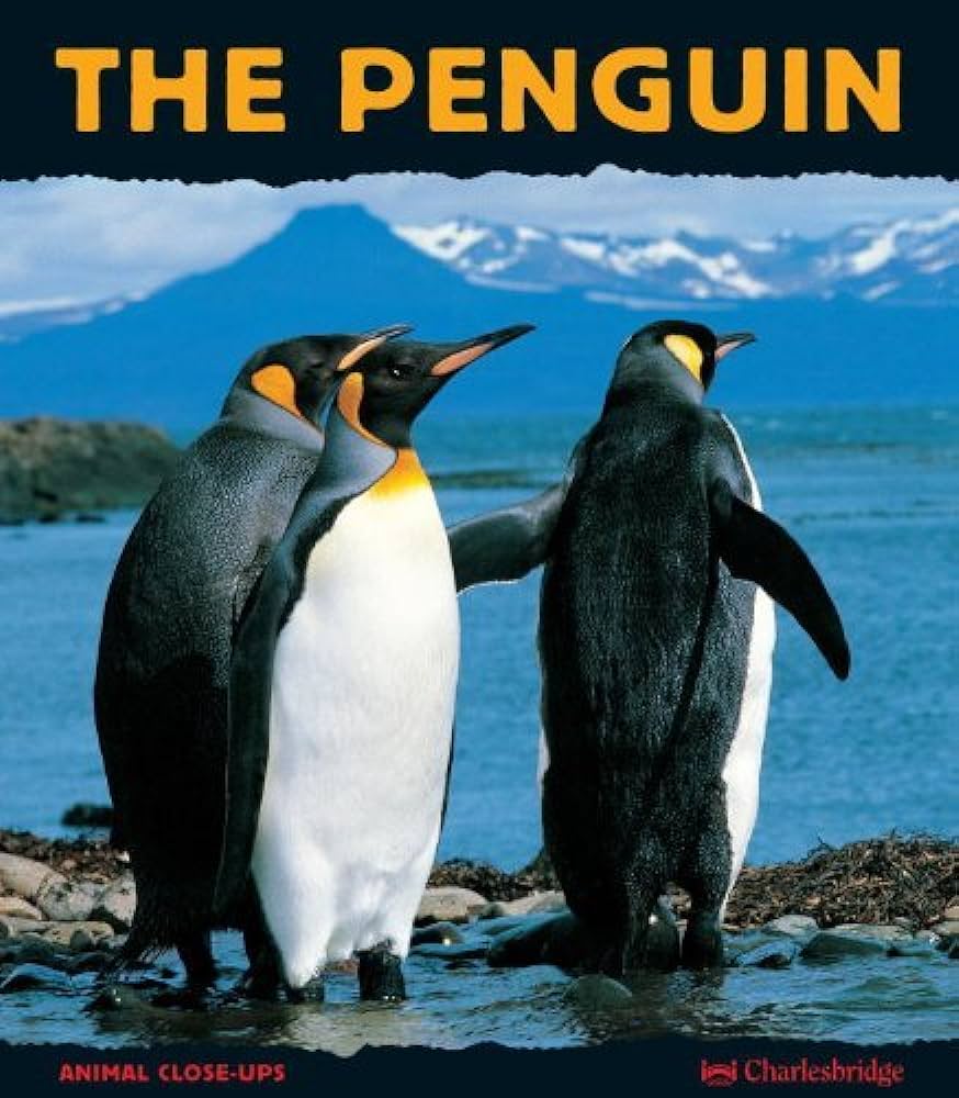 The Penguin: A Funny Bird