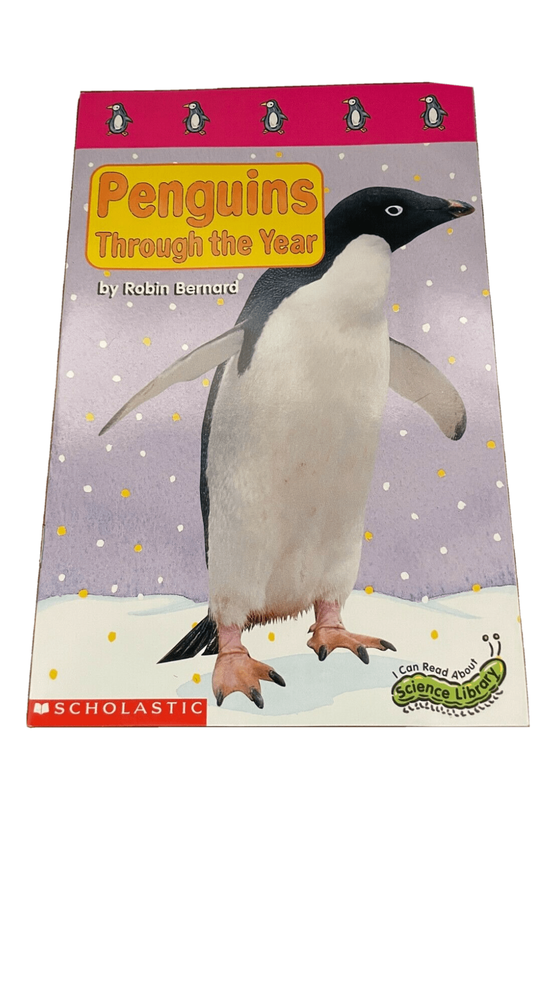 Penguins Through the Year