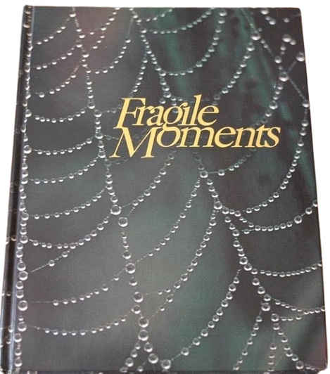 Fragile Moments: When God Speaks in Whispers