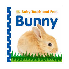 Baby Touch and Feel: Bunny (Board Book)