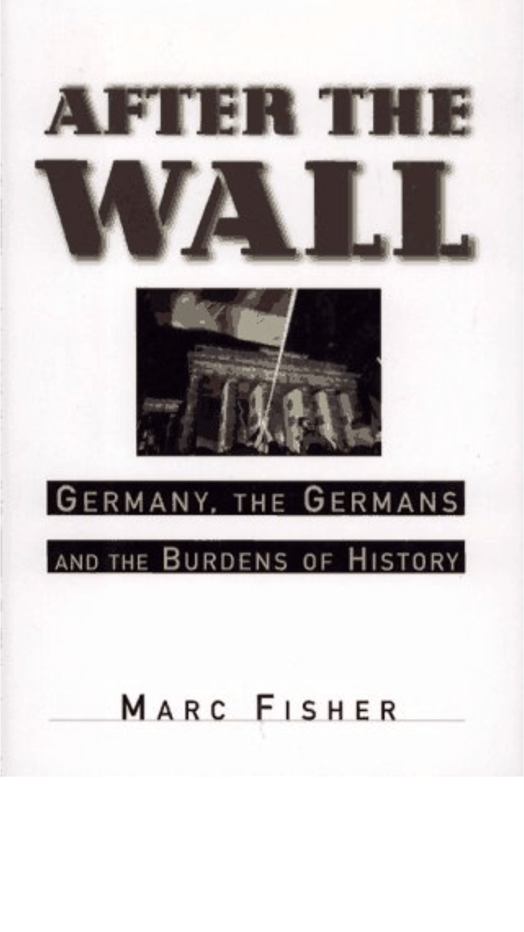 After the Wall : Germany, the Germans and the Burdens of History