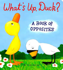 What's Up, Duck? book by Tad Hills