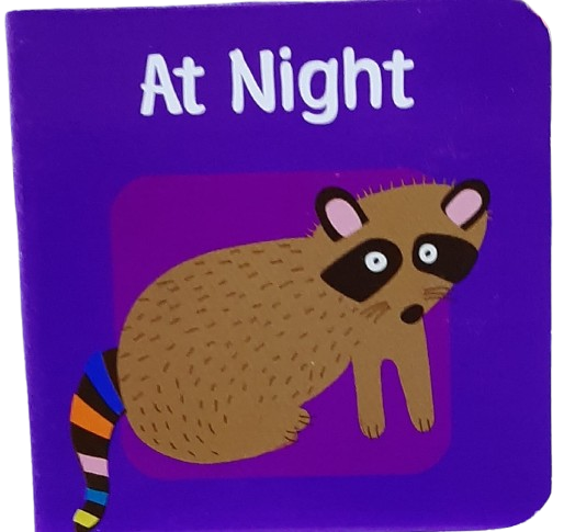 At Night [Board Book]