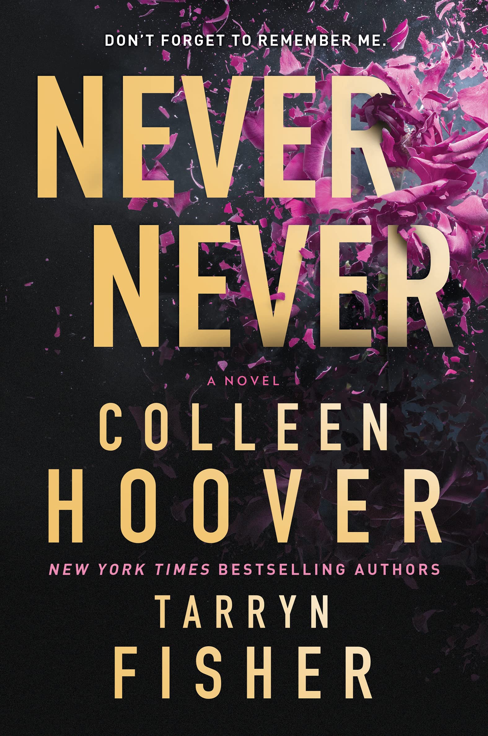 Never Never book by Colleen Hoover