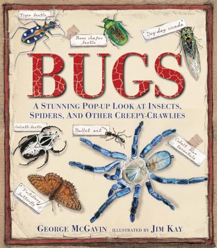 Bugs by George McGavin
