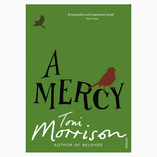 A Mercy by Toni Morrison