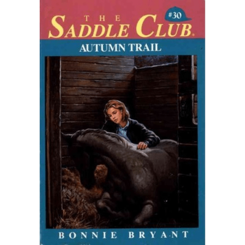 The Karate Kid (Karate Kid Novels, #1) by Bonnie Bryant Hiller