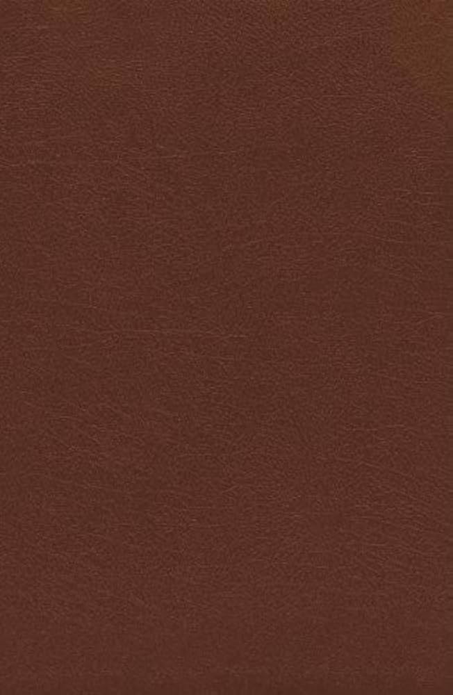 The Charles F. Stanley Life Principles Bible: New American Standard/study, Burgundy Bonded Leather