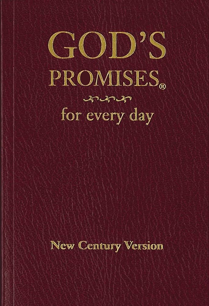 God's Promises for Every Day book by Jack Countryman