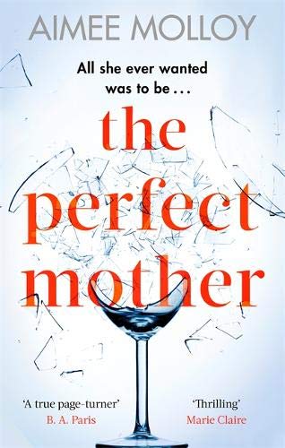 The Perfect Mother book by Aimee Molloy
