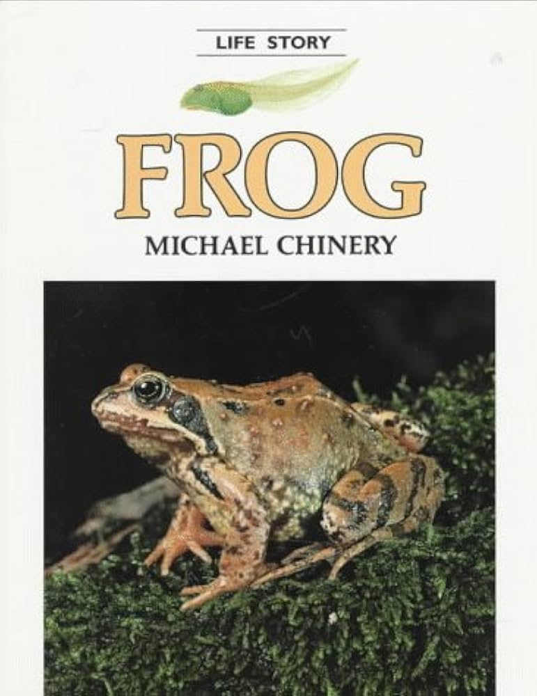 Frog by Michael Chinery