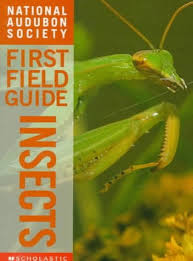 National Audubon Society First Field Guide by Christina Wilsdon