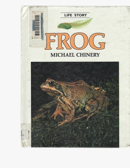 Frog by Michael Chinery