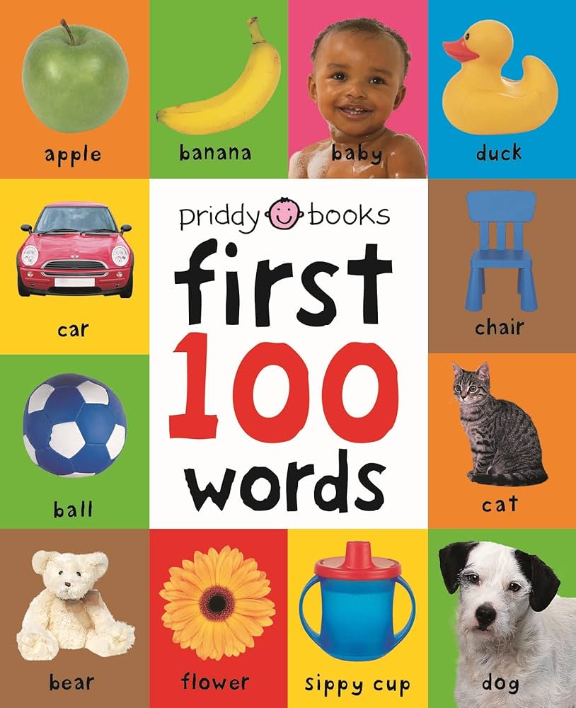 First 100 Words book by Roger Priddy (Board Book)