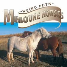 Miniature Horses (Weird Pets)  by Lynn M. Stone