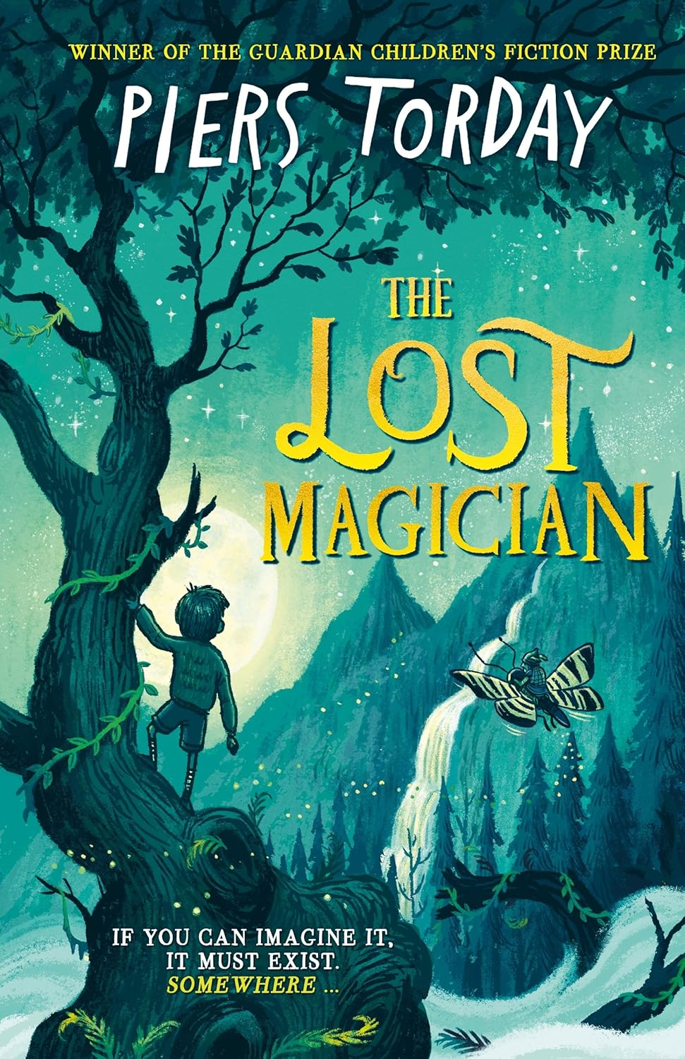 The Lost Magician book by Piers Torday