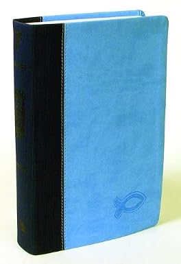 GOD'S WORD for Boys Blue/Light Blue Duravella by Baker Publishing Group