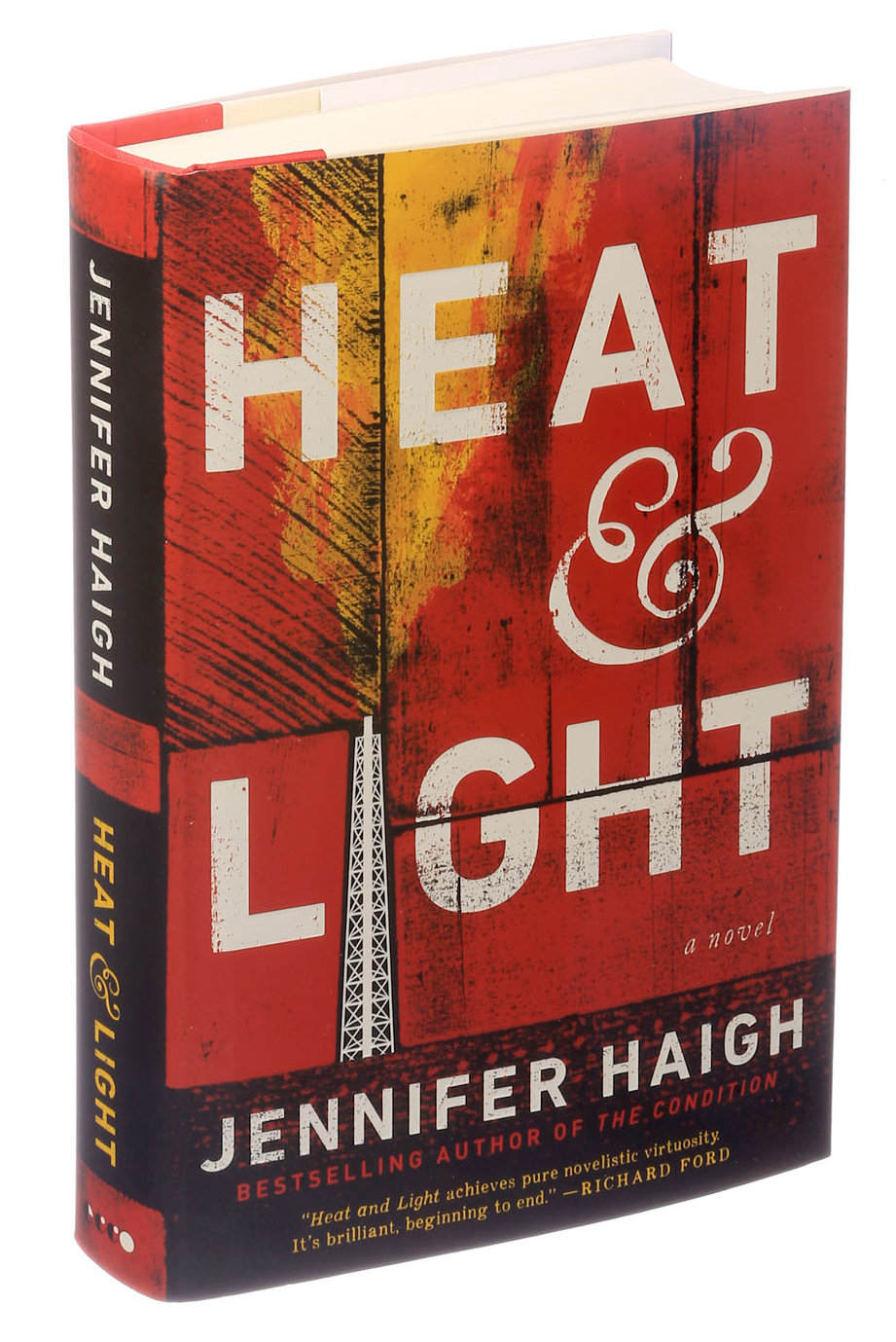 Heat and Light book by Jennifer Haigh