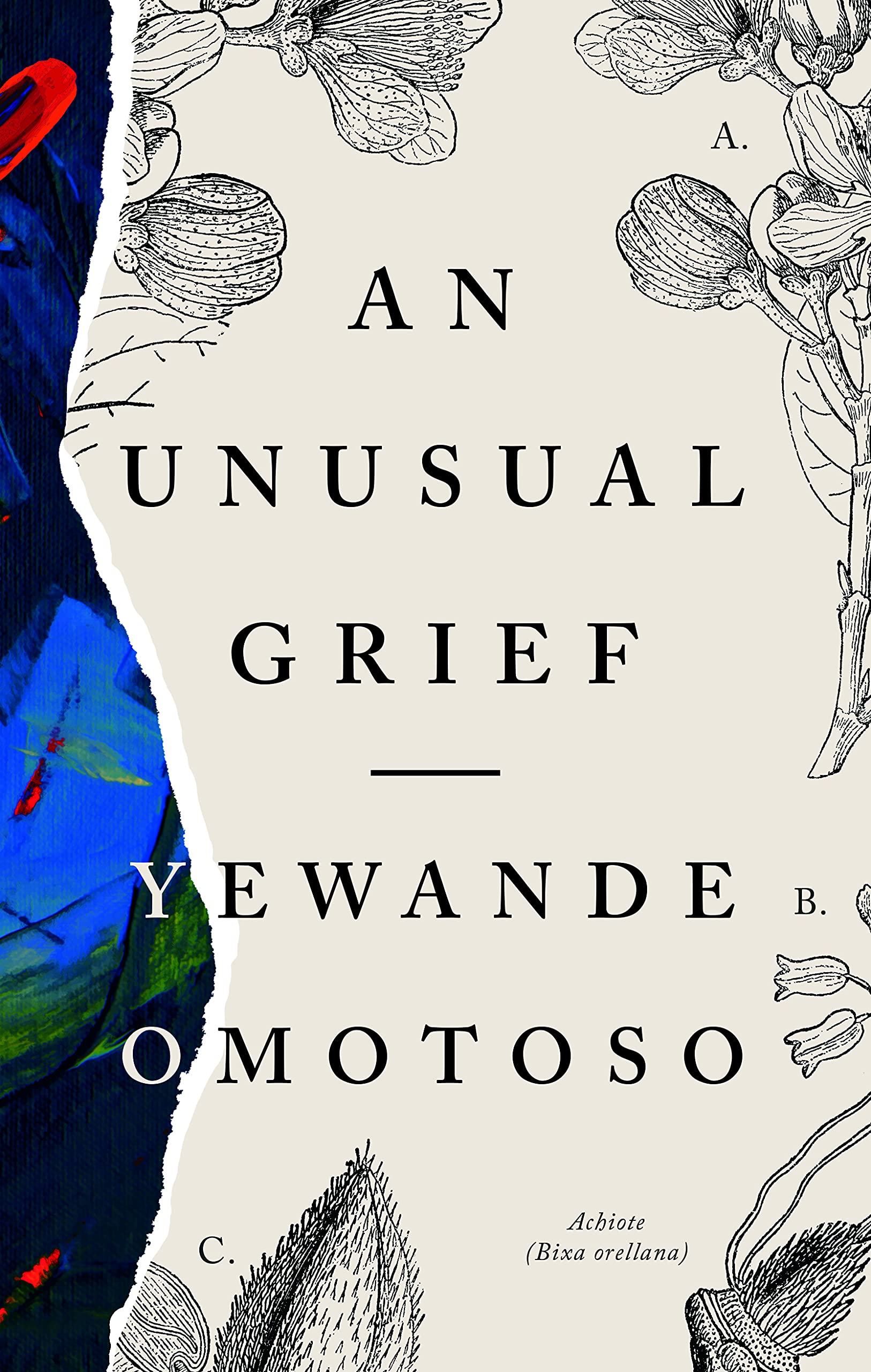 An Unusual Grief book by Yewande Omotoso