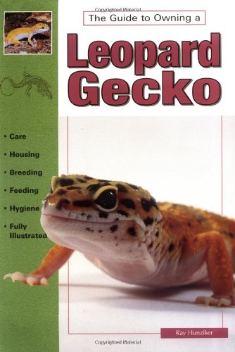 Leopard Geckos: Identification, Care, & Breeding