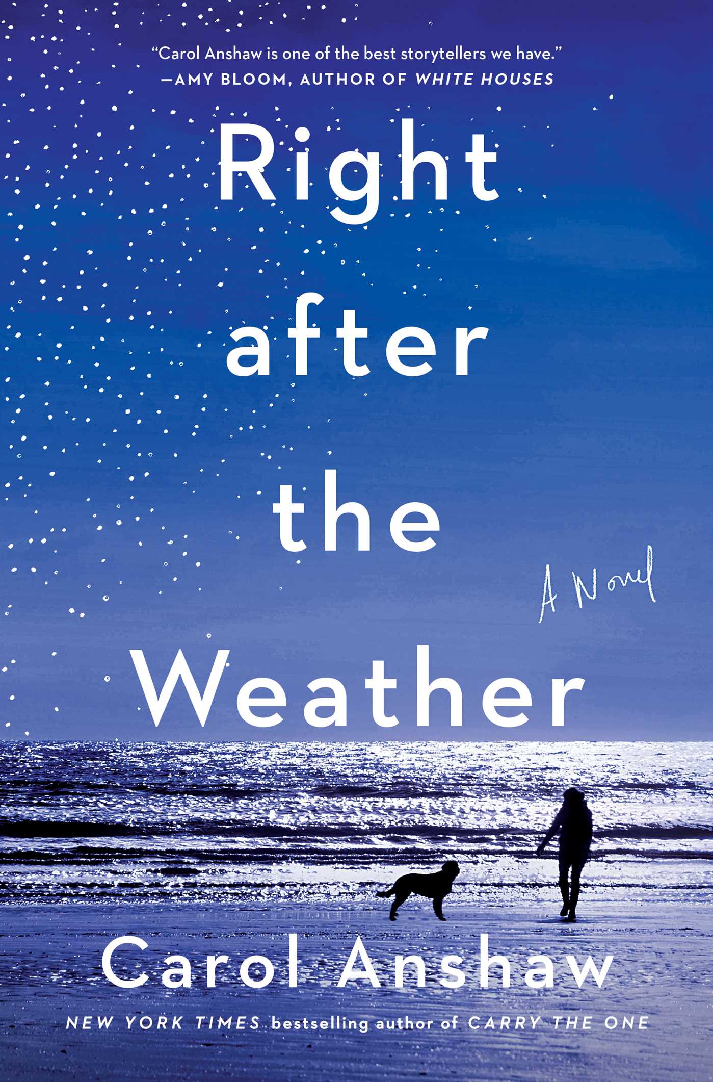 Right after the Weather book by Carol Anshaw