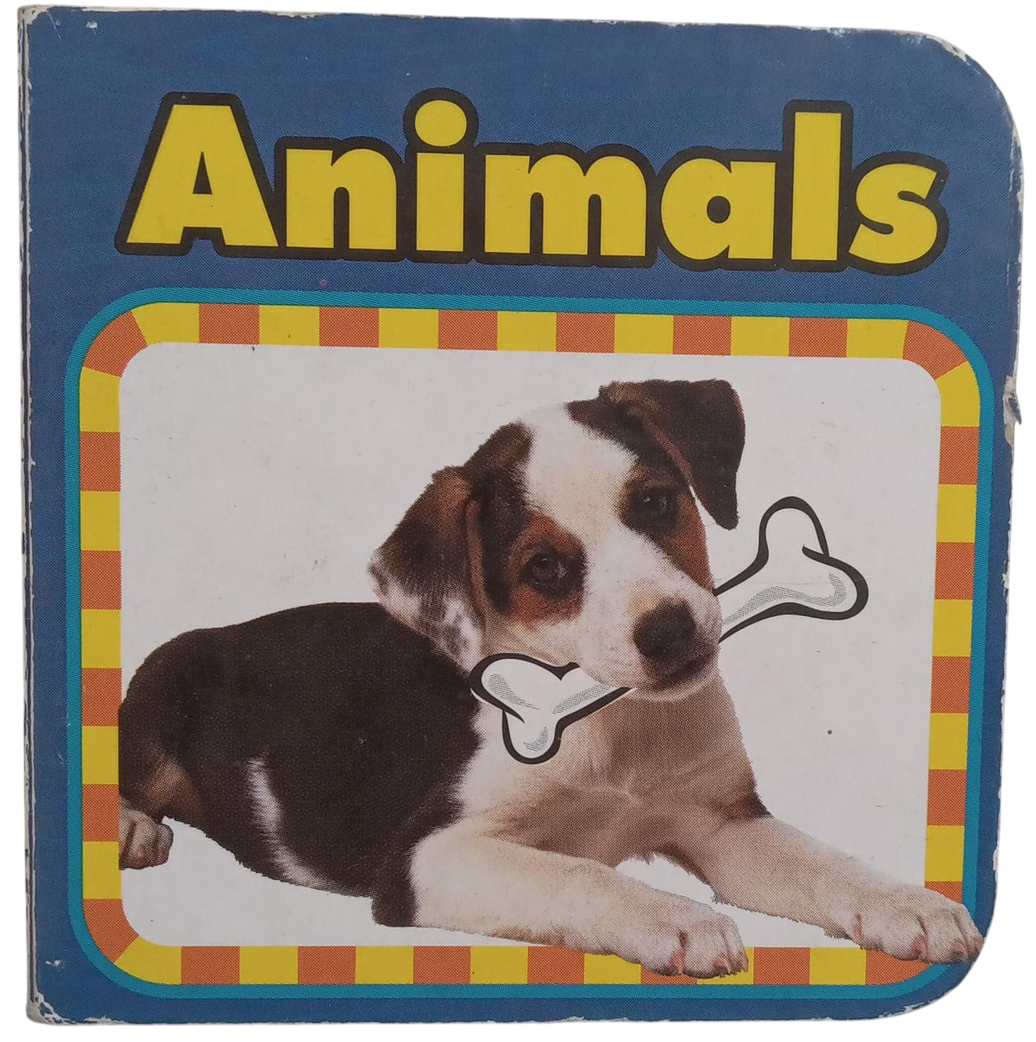 Animals
