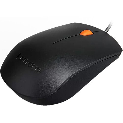 Lenovo 300 Wired USB Mouse - Black - GX30M39704