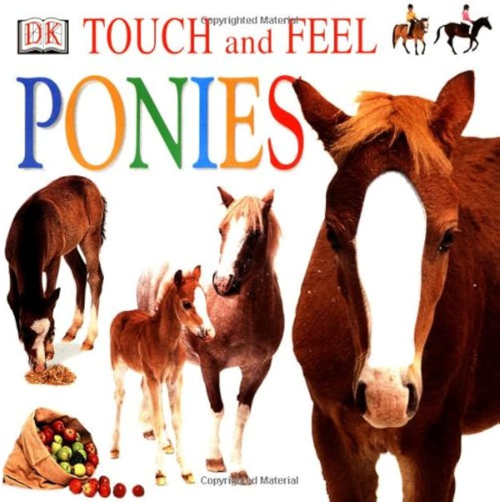 Ponies: Dk (Touch and Feel Board Book)