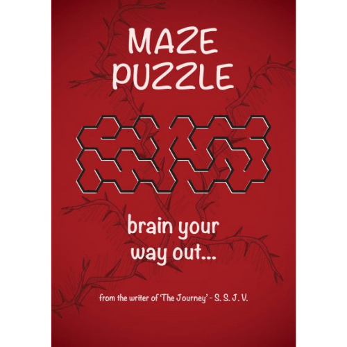 Maze Puzzle: Brain your way out